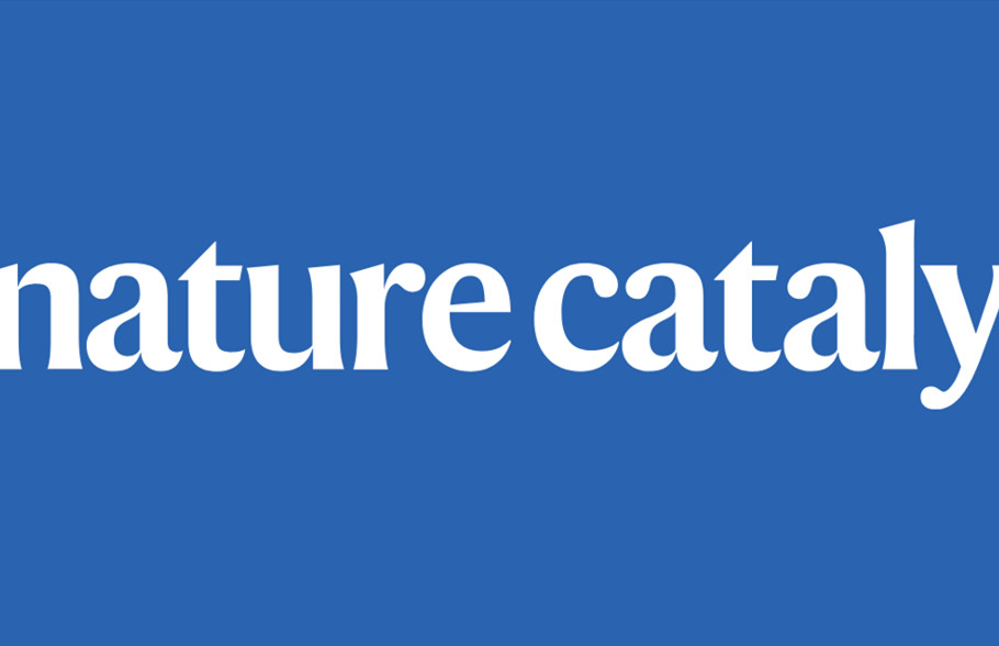 河南大學，Nature Catalysis！