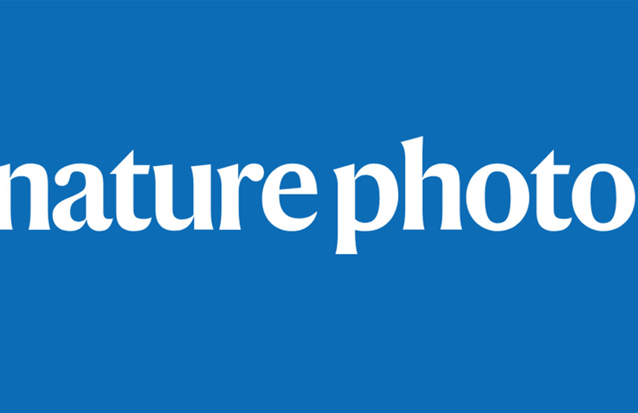 天津大學(xué)，今年首篇Nature Photonics！