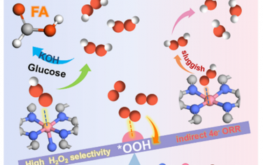 暨南大學Angew：不對稱Co-N5電催化合成H2O2耦合生物質增值
