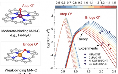 JACS：弱結合方式M-N-C具有反常高活性ORR機理研究