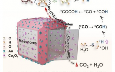 內蒙古大學Angew：晶面設計介孔CuS反應器增強光催化還原CO2制備C2H4