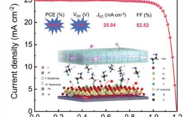AFM：鹵代乙胺鹽酸鹽調(diào)節(jié)促進(jìn)鈣鈦礦太陽能電池中的VOC