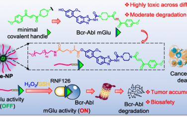 JACS：自組裝納米分子膠（Nano-mGlu）可實現GSH/H2O2觸發的靶向蛋白降解以用于癌癥治療