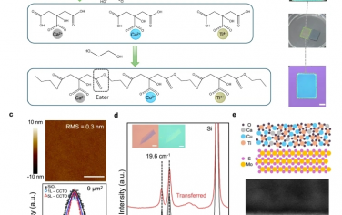 Nat Commun：用于二維電子器件的可轉移、濕化學衍生的高 k 非晶態金屬氧化物電介質