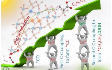 清華大學&武漢理工大學Angew：氧空穴-三原子位點結合選擇性光催化CO2制備丙酸