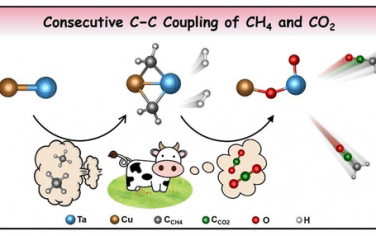 鄭州大學&中科院化學所JACS：CuTa雙原子催化CH4和CO2偶聯反應機理