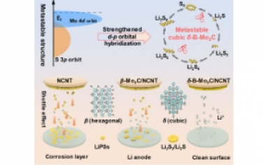 ACS Nano：亞穩態立方 Mo2C 上強化 d-p 軌道雜化用于高穩定性鋰-硫電池