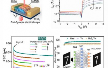 AFM：基于MoS2/Te范德華異質結構的可重構、非揮發性光電突觸膜晶體管