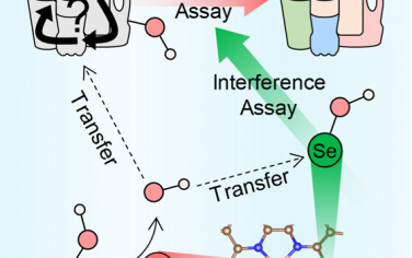 JACS：Fe-Se雙原子催化劑的羥基溢流快速分析塑料的類型