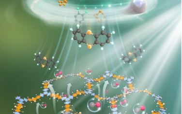 華東理工&四川大學Angew：機械研磨合成法將硫轉化為梯形聚合物用于光催化還原CO2