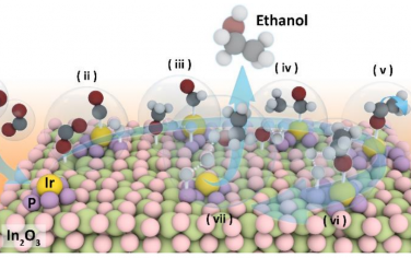 香港理工大學(xué)&蘇州科技大學(xué)Angew：P島上的Ir單原子實現(xiàn)CO2加氫選擇性制備乙醇