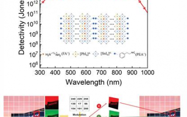 AFM：用于高保真圖像傳感和光通信的高性能準2D Sn-Pb鈣鈦礦光電探測器