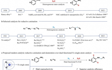 萊布尼茲催化研究所&西北工業大學&卡迪夫大學Nature Commun：磷修飾單原子鐵實現還原胺化-氘代串聯催化