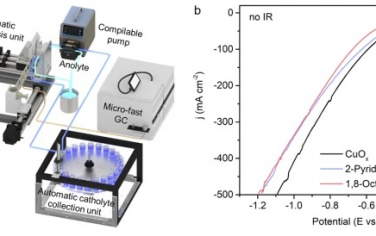 廈門大學&福建物質結構研究所Nature Commun：Cu催化劑CO2RR電催化的界面相影響生成C2+選擇性