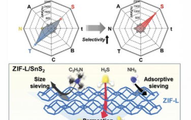 AFM：在SnS2納米片上原位生長二維MOF作為分子篩層以實現選擇性H2S檢測