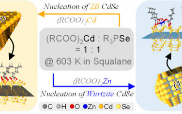 浙江大學(xué)JACS：鋅烷氧酯配體合成CdSe納米晶體