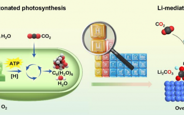 南京大學(xué)Angew：電化學(xué)CO2轉(zhuǎn)化為碳和氧氣