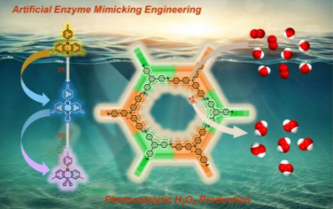 湖南大學&西安交通大學Angew：氧化吩噻嗪COF模擬輔酶Q光催化合成H2O2