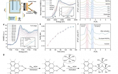 南洋理工大學&港城大&南方科技大學Nature Commun：活性位點動態調控打破OER反應的標度關系