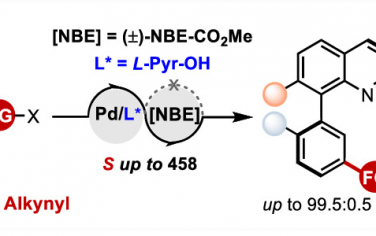 余金權(quán)&上海有機所王鵬JACS：Pd(II)催化間位C-H鍵阻轉(zhuǎn)異構(gòu)