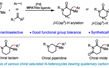 余金權(quán)JACS：立體選擇活化內(nèi)酯β-C(sp3)-H合成手性雜環(huán)化合物