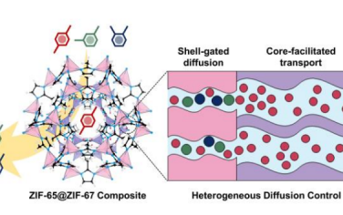 浙江大學&北京化工大學Angew：ZIF-65@ZIF-67核殼結構分離二甲苯異構體