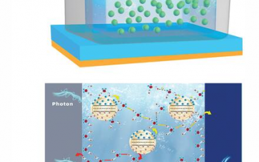 AFM：用于自驅(qū)動(dòng)光電探測器的液態(tài)水分子連接量子點(diǎn)