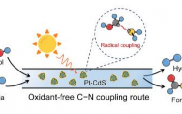 中科院理化所Angew：Pt-CdS無氧化劑自由基偶聯合成甲酰胺