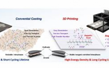 AFM：用于高能鋰金屬電池的3D打印兩性分子增強固體聚合物電解質