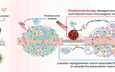 Nano Lett：PTT誘導的反饋碳納米系統可通過重塑細胞外基質增強乳腺癌治療