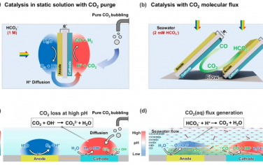 Nature Commun：流動相光催化轉化海水溶解CO2