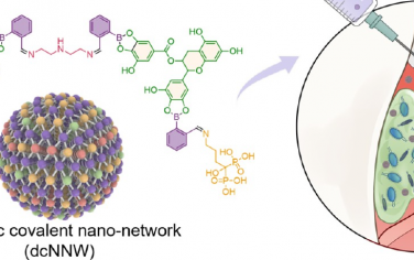 ACS Nano：通過(guò)反應(yīng)誘導(dǎo)自組裝構(gòu)建的動(dòng)態(tài)共價(jià)前藥納米網(wǎng)絡(luò)用于治療牙周炎