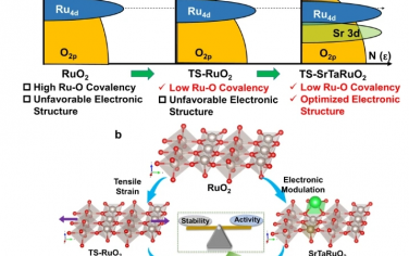 Nature Commun：應變和摻雜劑對打破RuO2酸性析氧電催化劑活性-穩定性折衷的有效性