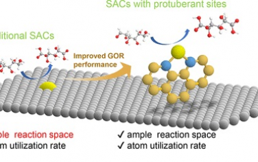大連化物所&港城大&福建師范JACS：Re單原子用于電催化葡萄糖氧化