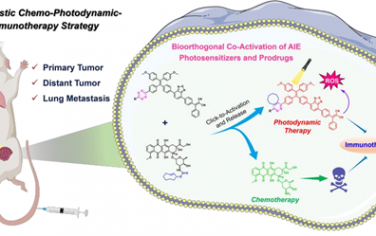 Biomaterials：生物正交策略觸發(fā)的原位共激活A(yù)IE光敏劑和化療前藥以促進(jìn)化學(xué)-光動力-免疫協(xié)同治療