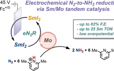 JACS：Sm實(shí)現(xiàn)催化電化學(xué)氮還原合成氨