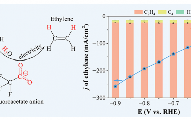 西北工業(yè)大學(xué)JACS：非金屬有機分子電催化乙炔半加氫