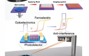 AFM：用于鐵電偏振調制抗干擾視覺系統的2D鈣鈦礦/PVDF TrFE光電探測器