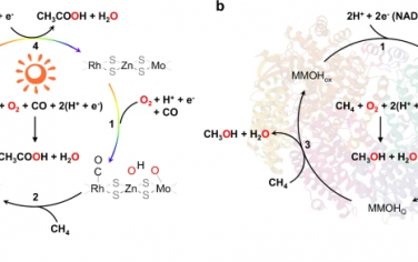 大連化物所Nature Commun：MoS2和Rh-Zn原子對光催化CH4羰基化合成乙酸