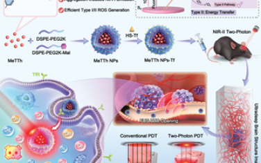 Adv. Mater：NIR-II雙光子激發的AIE光敏劑用于精準有效治療原位小尺寸膠質母細胞瘤