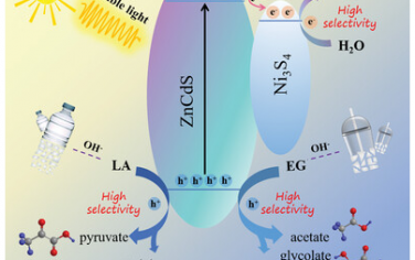 南華大學&烏普薩拉大學Adv Mater：Ni3S4/ZnCdS異質結電子轉移介導光催化重整塑料廢品