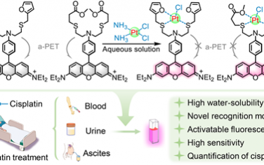 JACS：水溶性熒光傳感器用于定量檢測臨床腫瘤患者體液中的痕量順鉑