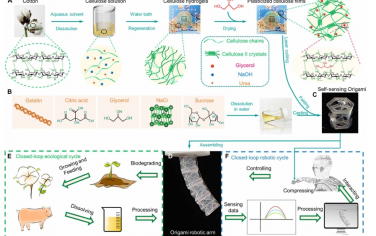Science Advances：可生物降解的折紙技術(shù)實(shí)現(xiàn)閉環(huán)可持續(xù)機(jī)器人系統(tǒng)