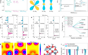 南開大學&天津大學&溫州大學Nature Commun：電子型金屬載體相互作用調節CO2RR反應選擇性