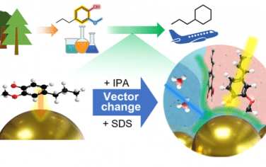 JACS：木質(zhì)素加氫脫氧催化制烴的反應(yīng)動力學(xué)