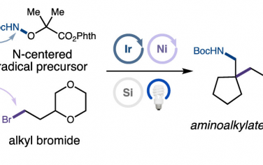 JACS：調(diào)節(jié)自由基分選實現(xiàn)烯烴氨基烷基化