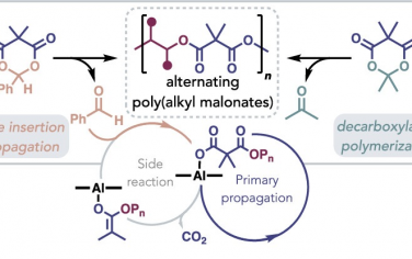 JACS：通過環氧化物和丙二酸環異丙酯的交替共聚合成烷基丙二酸酯聚合物