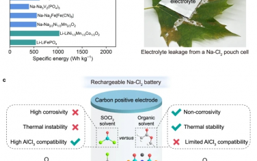 Nat Commun：利用有機電解質生產無腐蝕性和寬溫 Na-Cl2電池