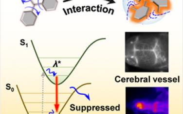 ACS Nano：通過分子內排斥相互作用構建NIR-II AIE探針以實現高對比度膠質母細胞瘤成像