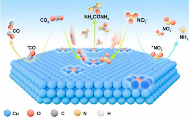 深圳大學JACS：晶格氧促進Cu電催化硝酸鹽和CO2合成尿素